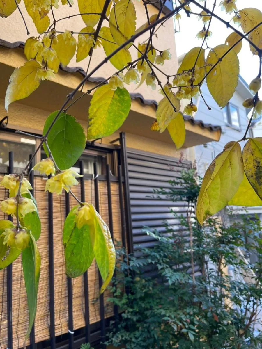 Image 6 of AnNam Stay Osaka – whole three story house rental