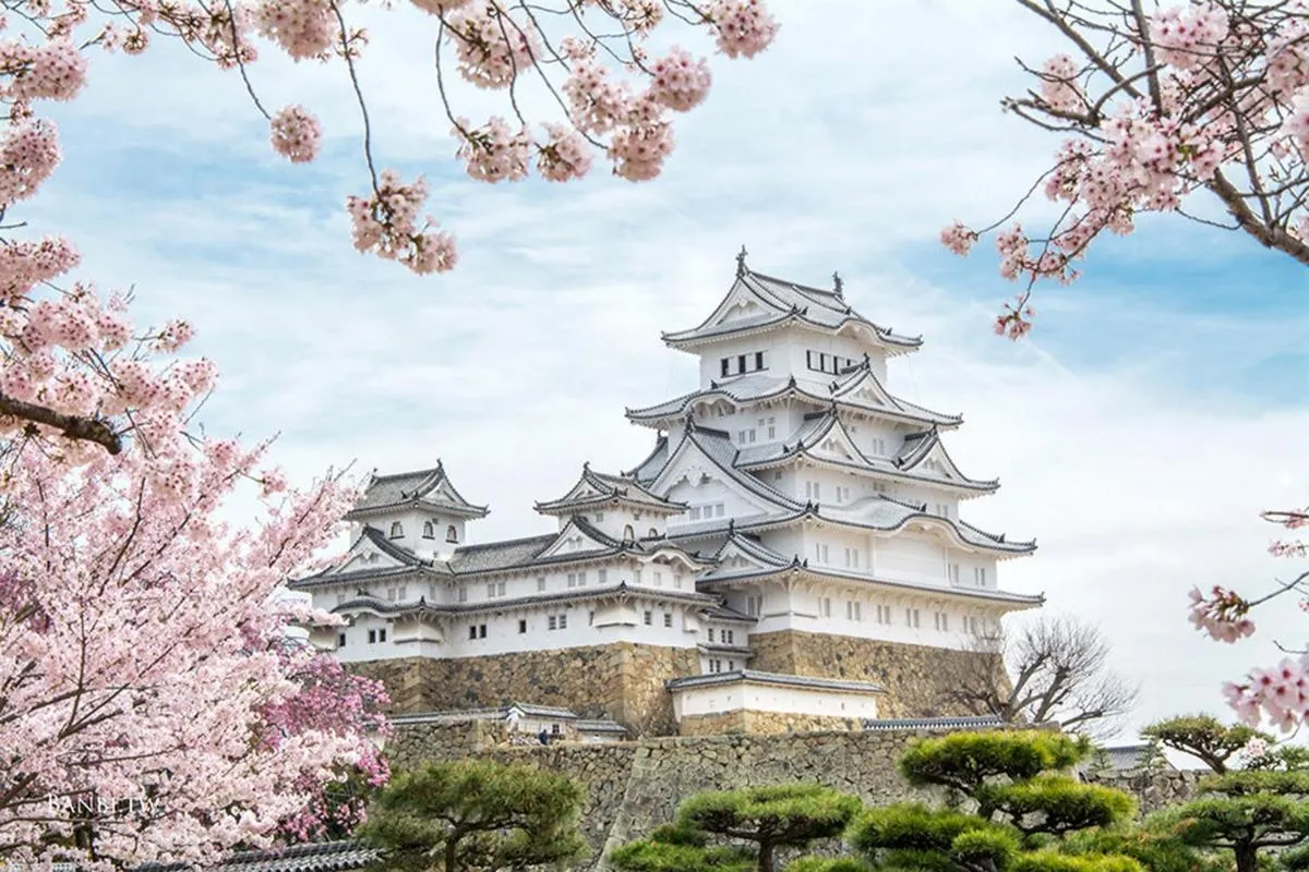 Image 5 of 北巽サクラハウス一軒家 Sakura House Guest House Kitatatsumi 最大16名