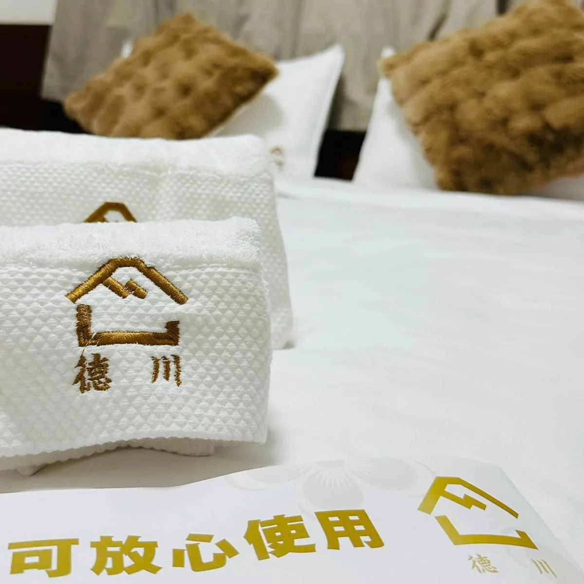 Image 5 of 德川 CU Host
