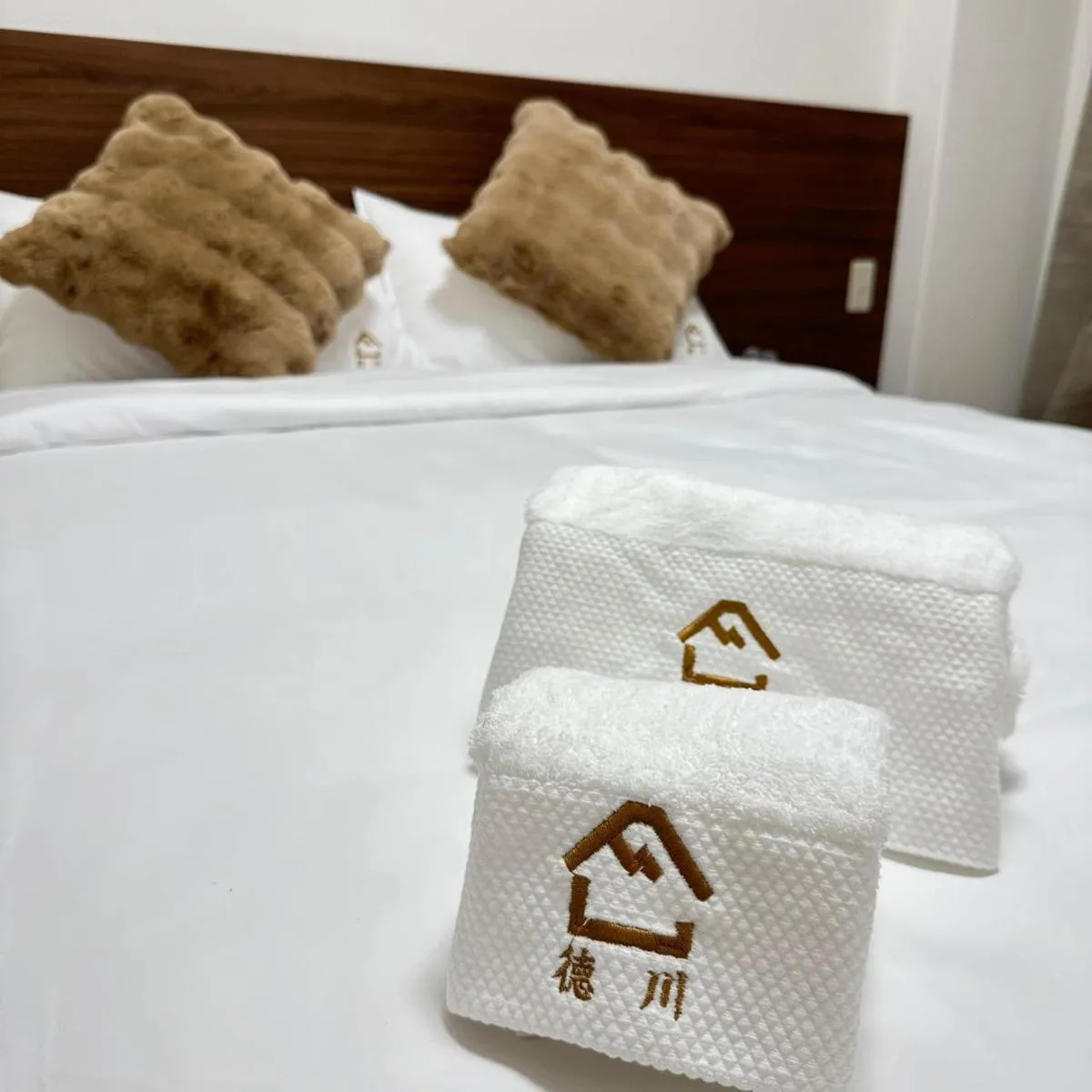 Image 6 of 德川 CU Host