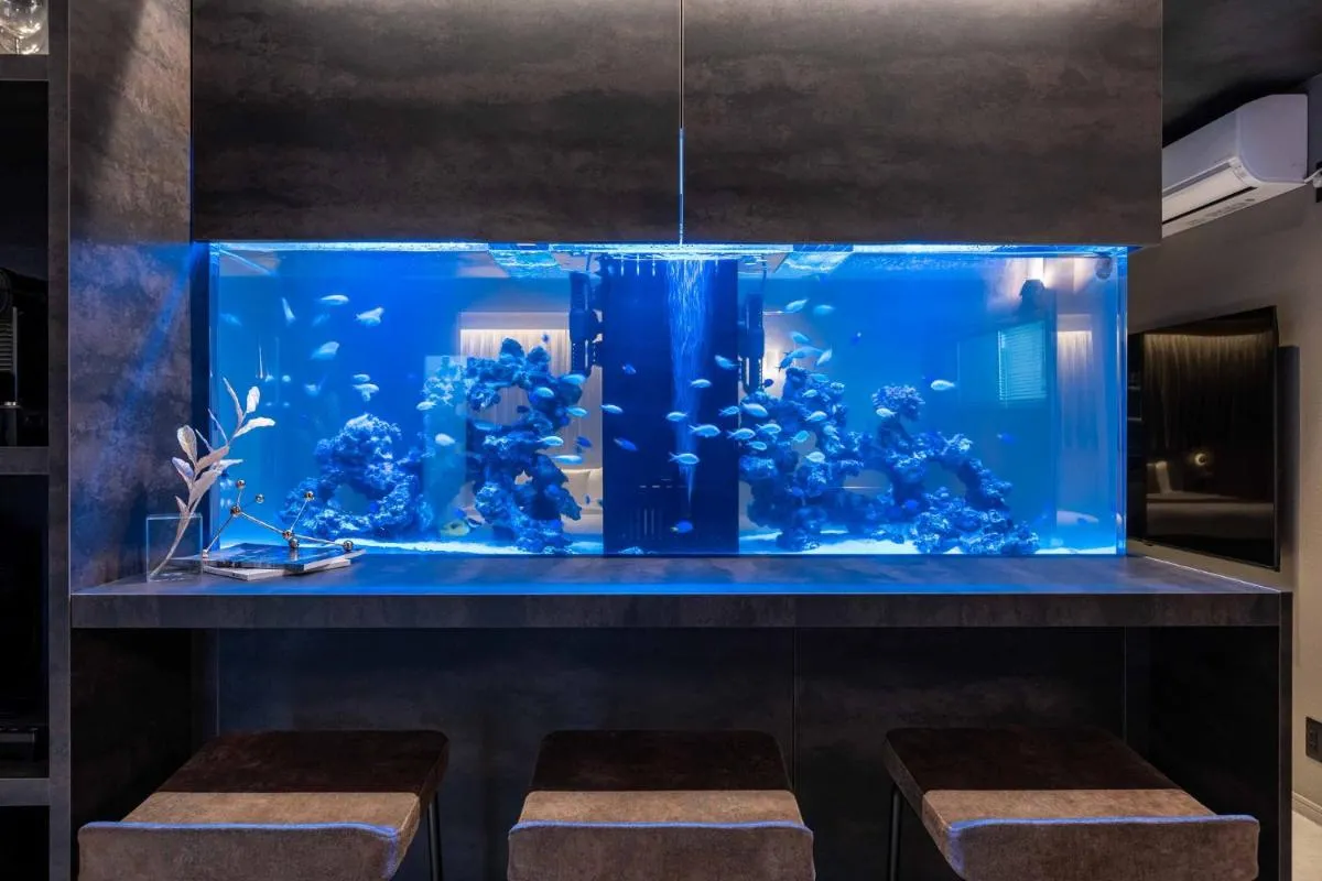 Image 5 of JAPAVISTA Aqua