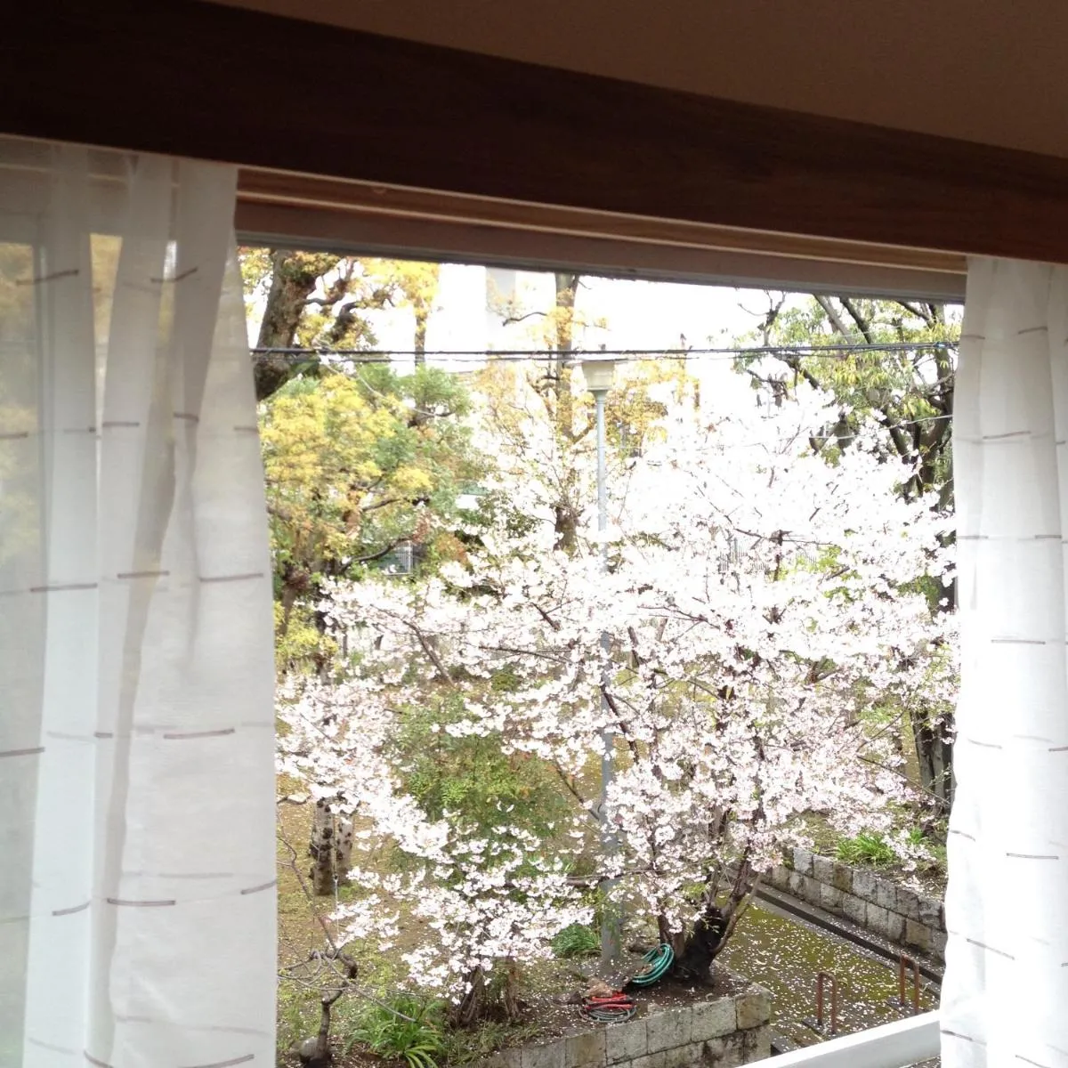 Image 5 of Third&Place Namba_Ashiharabashi/芦原橋